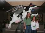 Calgary Airport Jet Cow